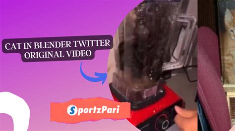 cat in the blender video twitter|Saw the cat in blender video cant get it out of my mind